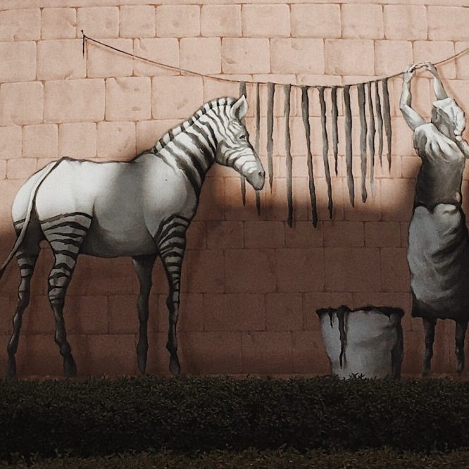 A graffiti art piece depicting a woman artistically painting or drying the stripes of a zebra, showcasing creative expression and visual storytelling.